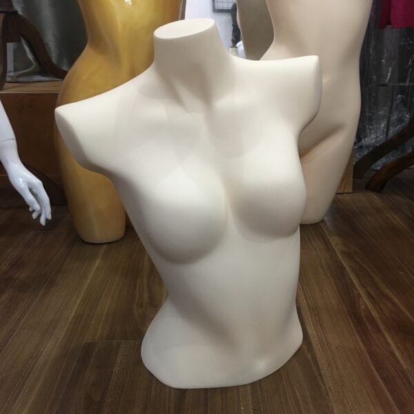 Thân nữ trưng bày