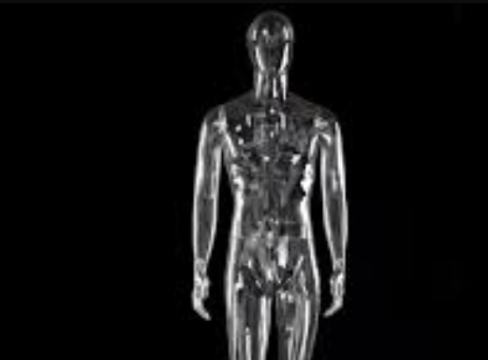 manocanh trong suốt